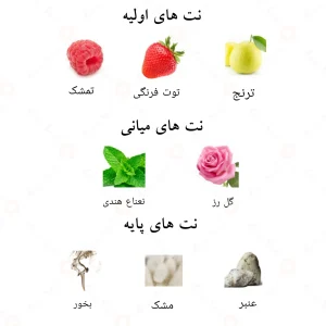 ادکلن کاملی الحمبرا Alhambra Camille for Women
