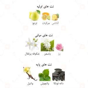ادکلن کاندید الحمبرا Candide Alhambra