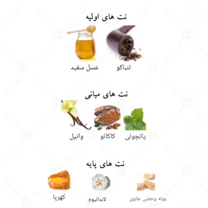ادکلن گلاکتیک الحمبرا Galactic Men Intense