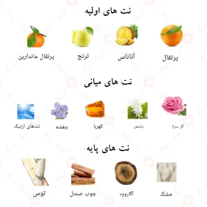 ادکلن گوستا الحمبرا Alhambra Gusta