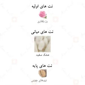 ادکلن گوچی اِ سانگ فور د رز Gucci A Song For The Rose