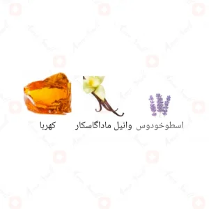 ادکلن یور تاچ امبر الحمبرا Alhambra your touch Amber