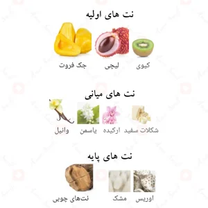 نت‌های بویایی ادکلن آبان احمد المغربی