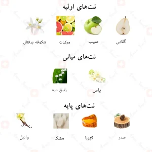 نتهای بویایی ادکلن اراک