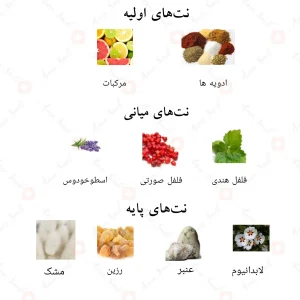 نت‌های بویایی ادکلن اروی احمد المغربی