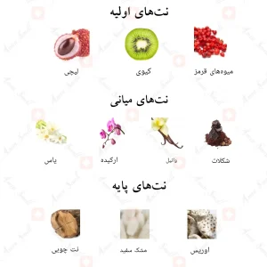 بررسی رایحه‌های ادکلن اناب احمد المغربی