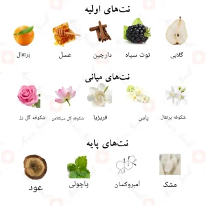 ترکیب رایحه‌های ادکلن بن امیر احمد المغربی