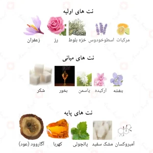 نت‌های بویایی ادکلن بن شیخ احمد المغربی