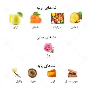 نت‌های بویایی ادکلن تنوف احمد المغربی