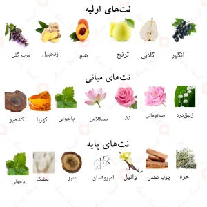 رایحه ادکلن ثقف احمد المغربی