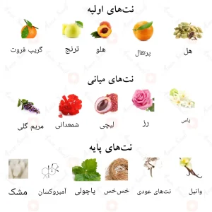 ترکیب رایحههای ادکلن سیج