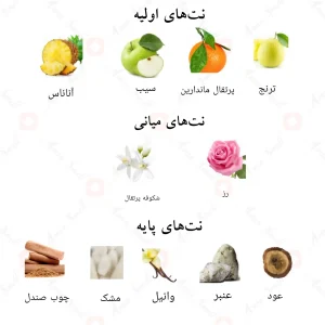 ترکیب رایحه‌های سیلک عود احمد المغربی