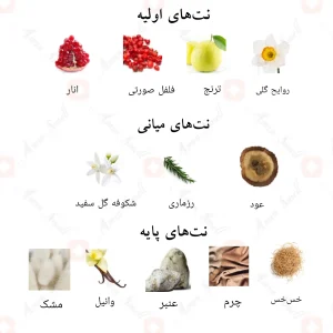 رایحه ادکلن ضحی احمد المغربی