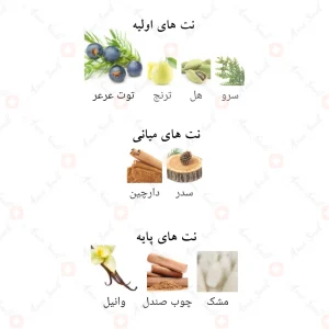نت‌های بویایی ادکلن سیف احمد المغربی
