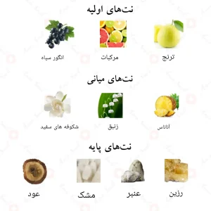 نت‌های بویایی ادکلن عین احمد المغربی