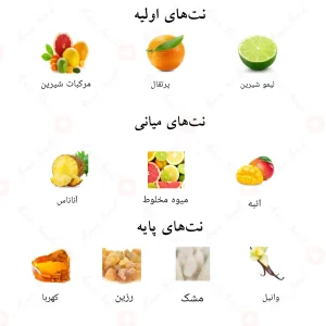 ترکیبات و نتهای بویایی ادکلن لیتل هارتز