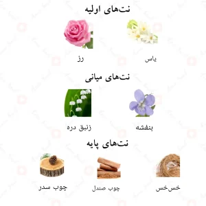 نتهای بویایی ادکلن لین احمد المغربی