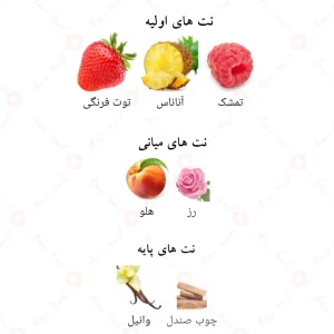 نت‌های بویایی ادکلن مارن احمد المغربی