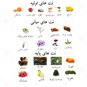 نت‌های رایحه