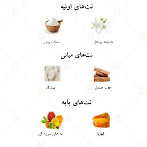 ترکیب رایحههای ادکلن مزن احمد المغربی