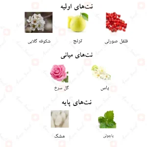 نت‌های بویایی ادکلن مشک کشمیری احمد المغربی