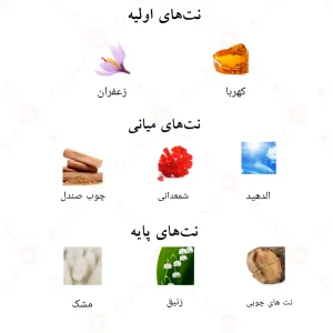 رایحه‌ی ادکلن ملیون احمد المغربی: ترکیبی از گلی و چوبی