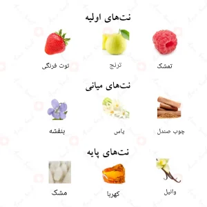 نتهای بویایی ادکلن میس رز احمد المغربی