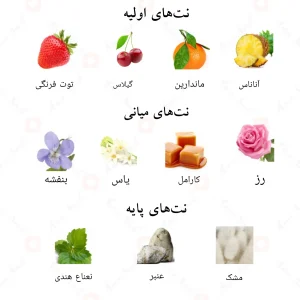 رایحهی ادکلن چری احمد المغربی: ترکیب میوهای و گلی