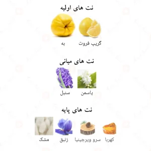 ادکلن_چنس_تندر_Chance_Tender_برند_ژاکلین