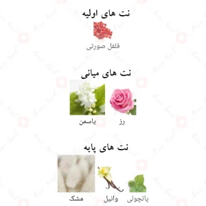 ادکلن_کاس_الفائز_طلایی_Winners_Trophy_Gold