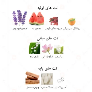 نت‌های رایحه