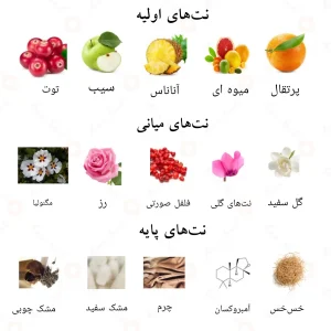 نت‌های بویایی ادکلن کلمه احمد المغربی