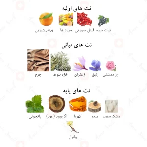 رایحه‌های گاردنیا