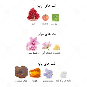 ادکلن یوفلوریا eufloria برند ژاکلین