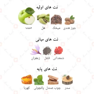 افنان_اورنامنت_پور_هوم_Ornament_Pour_Homme_Afnan2