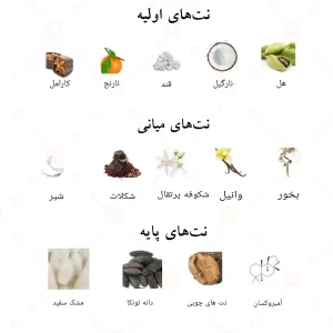 رایحه‌های برولی