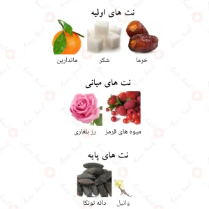 ترکیب رایحه‌های ادکلن تیف تیف