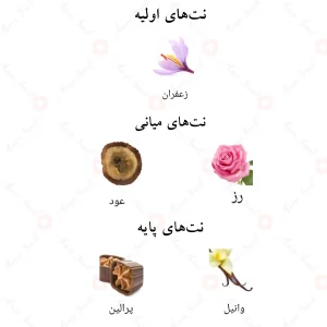 رایحهی ادکلن جری احمد المغربی: ترکیب شیرین و ملایم