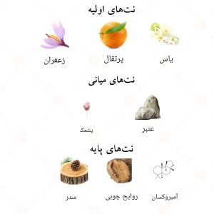نت‌های بویایی ادکلن ایز ایت می
