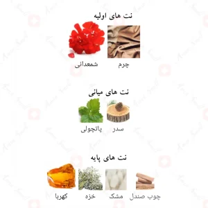 نت‌های بویایی ادکلن ایگنایت عود احمد المغربی