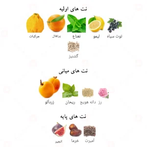 جین لوو وایب الحمبرا Jean Love Vibe Alhambra