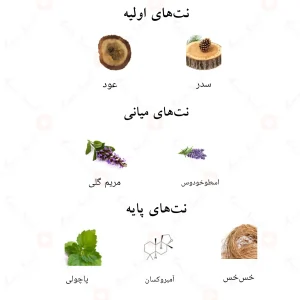 نتهای بویایی ادکلن دیزایر آف شیخ احمد المغربی