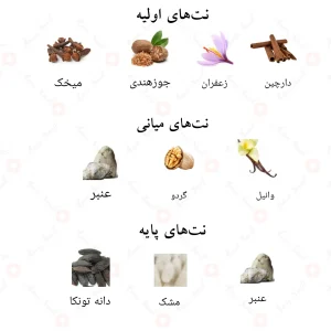 _رد_جول_احمد_المغربی_Red_Jewel_Ahmed_Al_Maghribi