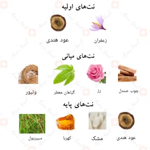 نت‌های بویایی ادکلن روضه احمد المغربی