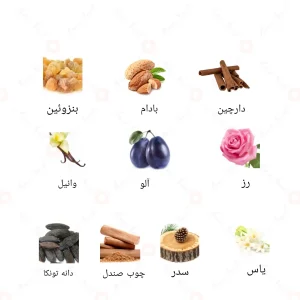 نت‌های بویایی ادکلن رویال چری احمد المغربی