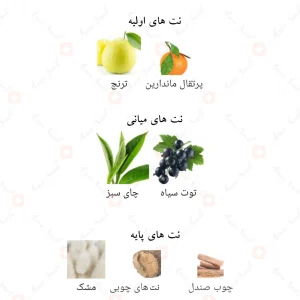 سوپر_ماسی_این_هیون_افنان_Supremacy_In_Heaven_Afnan
