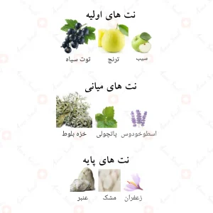 سوپر_ماسی_نات_اونلی_اینتنس_افنان_Supremacy_Afnan