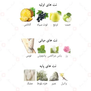 _سوپر_ماسی_پور_هوم_افنان_Supremacy_Pour_Homme_Afnan