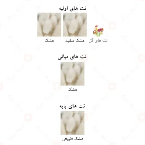 عطر افنان پیور ماسک Afnan Pure Musk