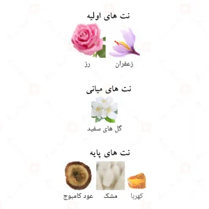 نت‌های رایحه